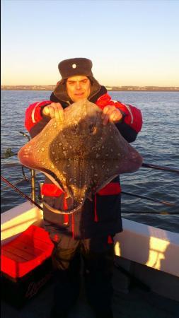 11 lb Thornback Ray by sion