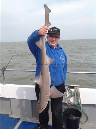 14 lb Smooth-hound (Common) by Liz Roberts