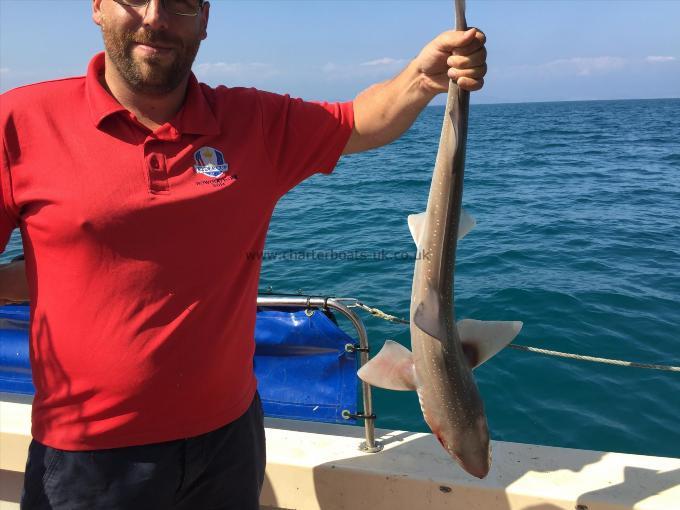 6 lb Starry Smooth-hound by Kieran