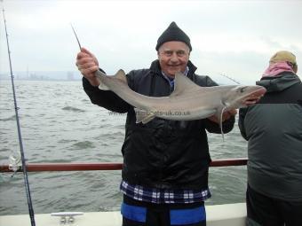 9 lb 8 oz Starry Smooth-hound by Greg Laycock