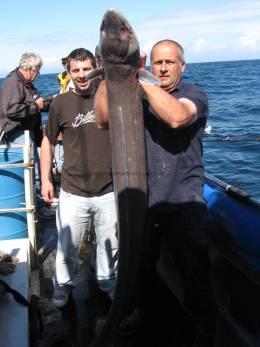 55 lb Conger Eel by Chris