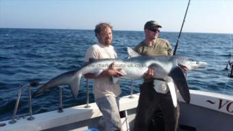 115 lb Blue Shark by Andy Truelove