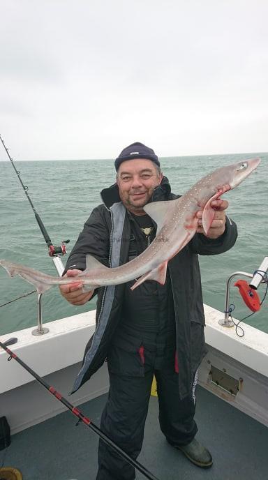 8 lb Smooth-hound by Mark