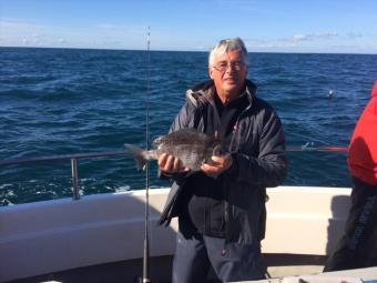 3 lb Black Sea Bream by John Johnson