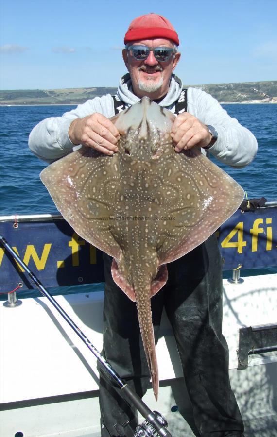 15 lb Undulate Ray by David Hewitt