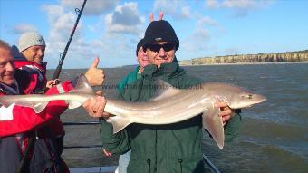 13 lb Smooth-hound (Common) by adrian corrigan