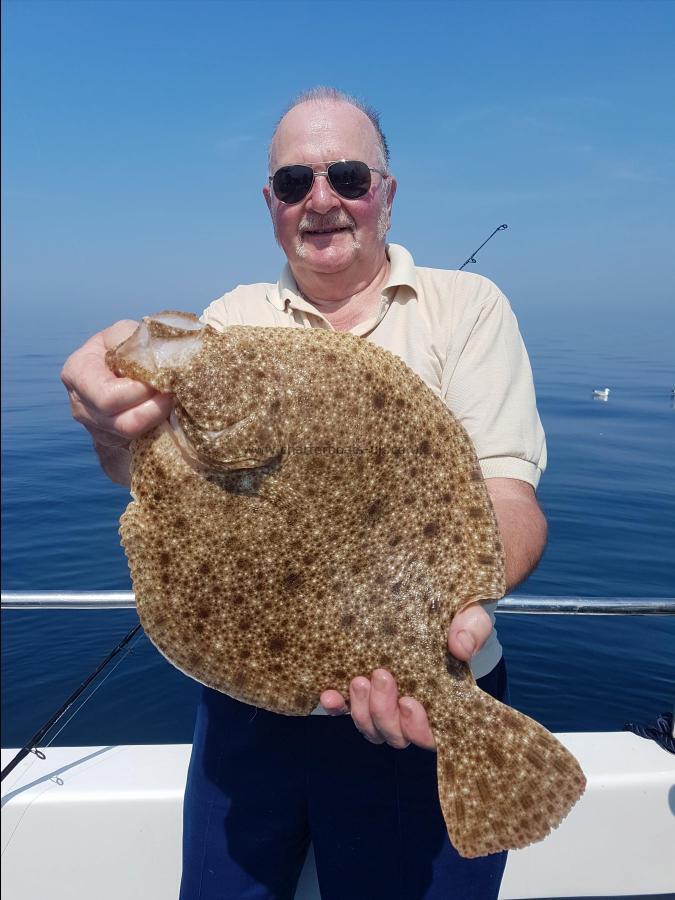 5 lb Turbot by Brain