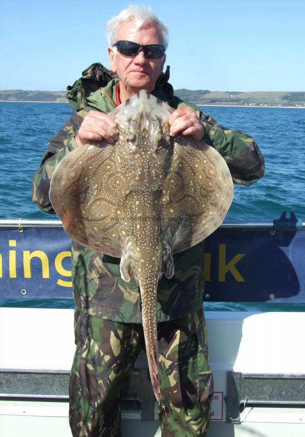 13 lb Undulate Ray by Paul Costello