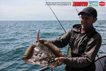 7 lb Thornback Ray by Sean