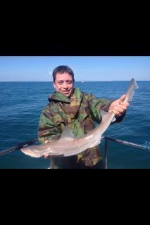 4 lb Smooth-hound by Chris Barlow