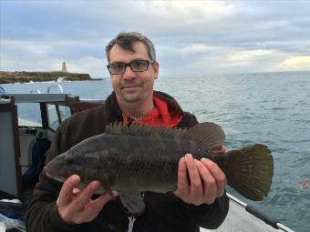 3 lb 3 oz Ballan Wrasse by Roger Morgan