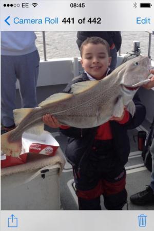 22 lb Cod by Unknown