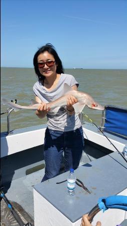 3 lb 5 oz Smooth-hound by Unknown