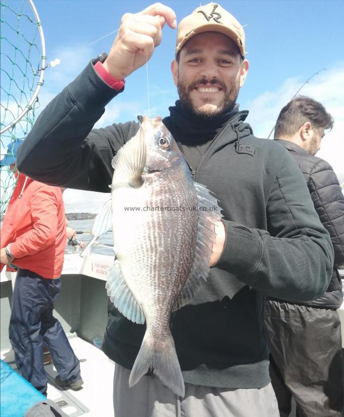 2 lb 1 oz Black Sea Bream by Alex