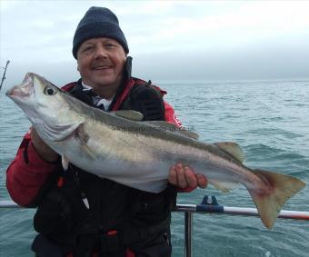 12 lb Pollock by Joe Kaplonek