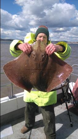 16 lb Blonde Ray by Dave