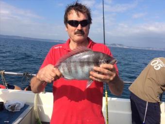 2 lb Black Sea Bream by Brian Moss