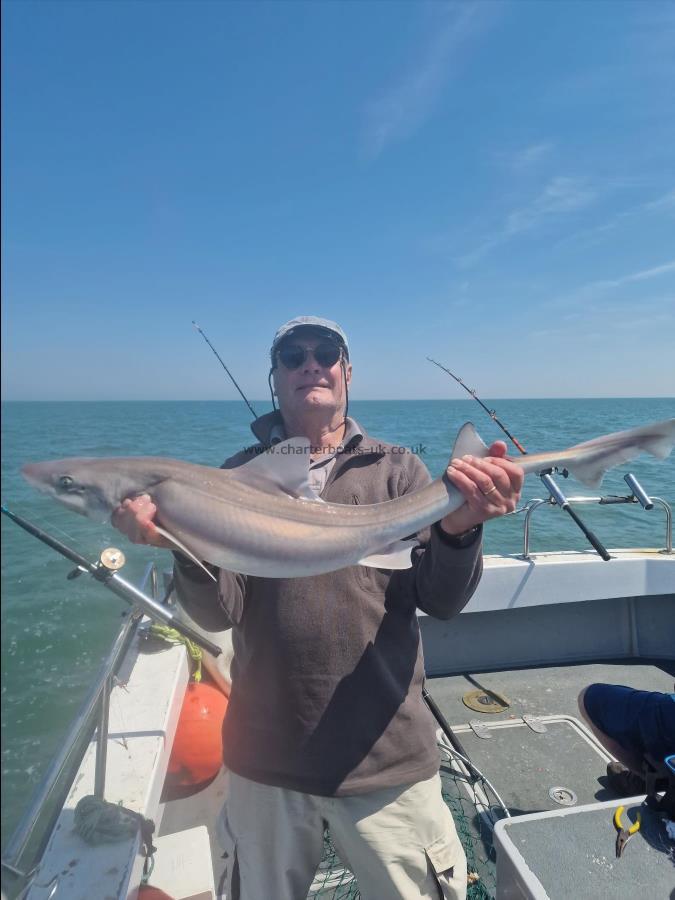 10 lb 4 oz Starry Smooth-hound by Tim