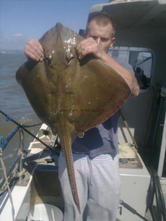 14 lb Blonde Ray by john white