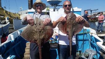 13 lb Thornback Ray by charlie