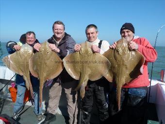 20 lb Blonde Ray by Unknown