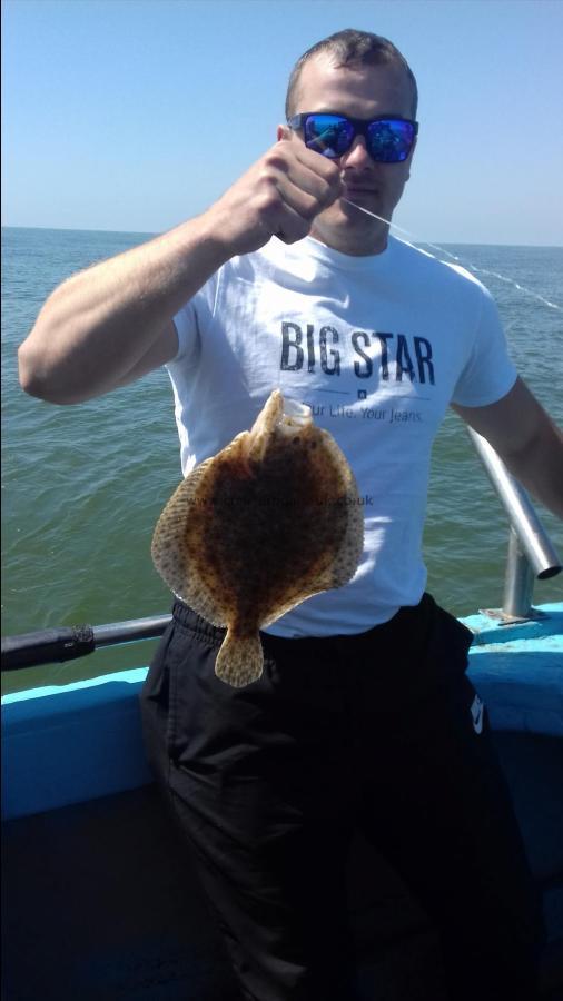 2 lb Turbot by Unknown