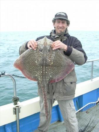 12 lb Thornback Ray by Unknown