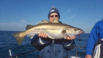 12 lb Pollock by Chalky