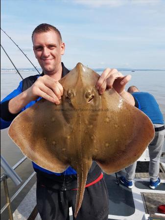 17 lb Blonde Ray by Unknown
