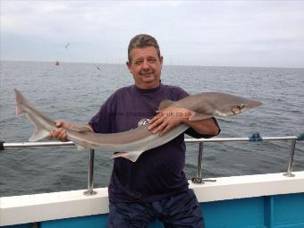 30 lb 2 oz Tope by Steve Ralston