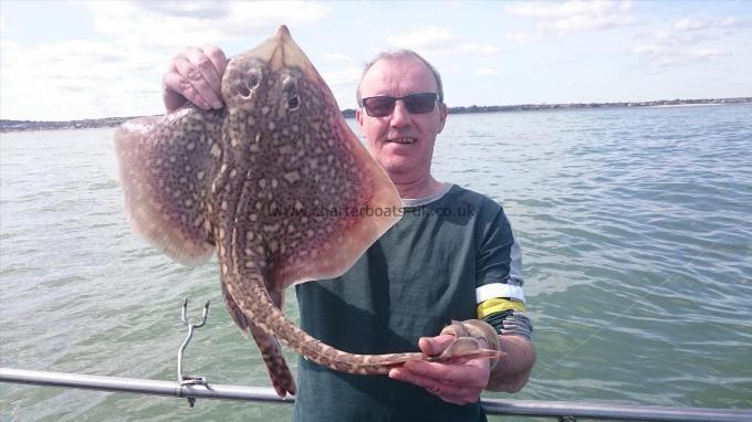 6 lb 2 oz Thornback Ray by Brian from glasgow