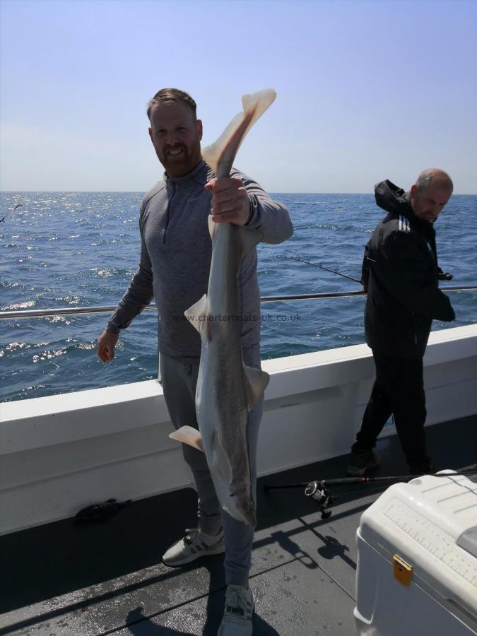 12 lb Smooth-hound by Dale