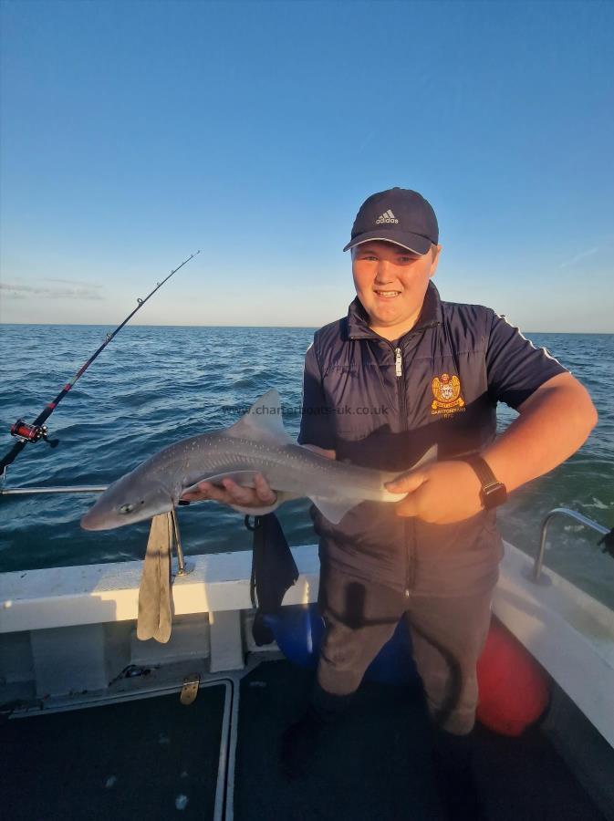 3 lb 5 oz Smooth-hound (Common) by George