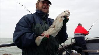 3 lb 2 oz Cod by Alan