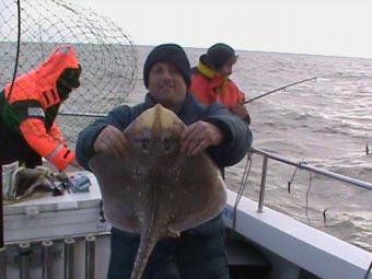 7 lb 14 oz Thornback Ray by Paul Martin