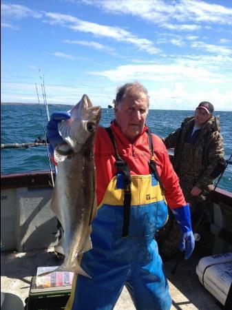 6 lb Pollock by Barry the Beast / Slawek