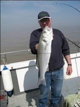 8 lb Bass by Mick Frosts bass caught from the Sophie Lea