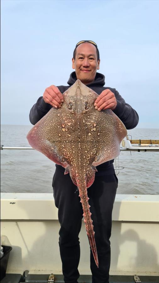 14 lb 3 oz Thornback Ray by Unknown
