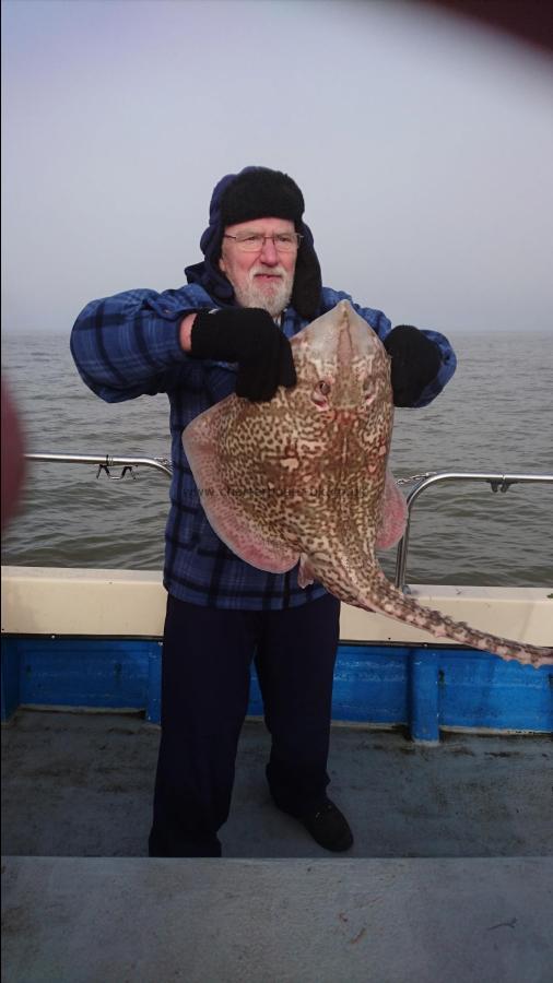 15 lb Thornback Ray by Unknown