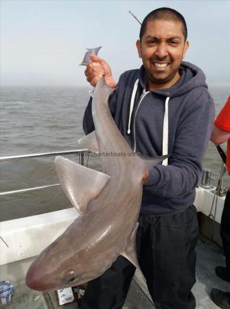 10 lb Smooth-hound (Common) by mo bhanji