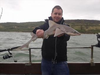 7 lb Smooth-hound by Unknown