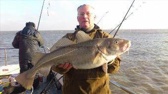 14 lb Cod by roy rogers