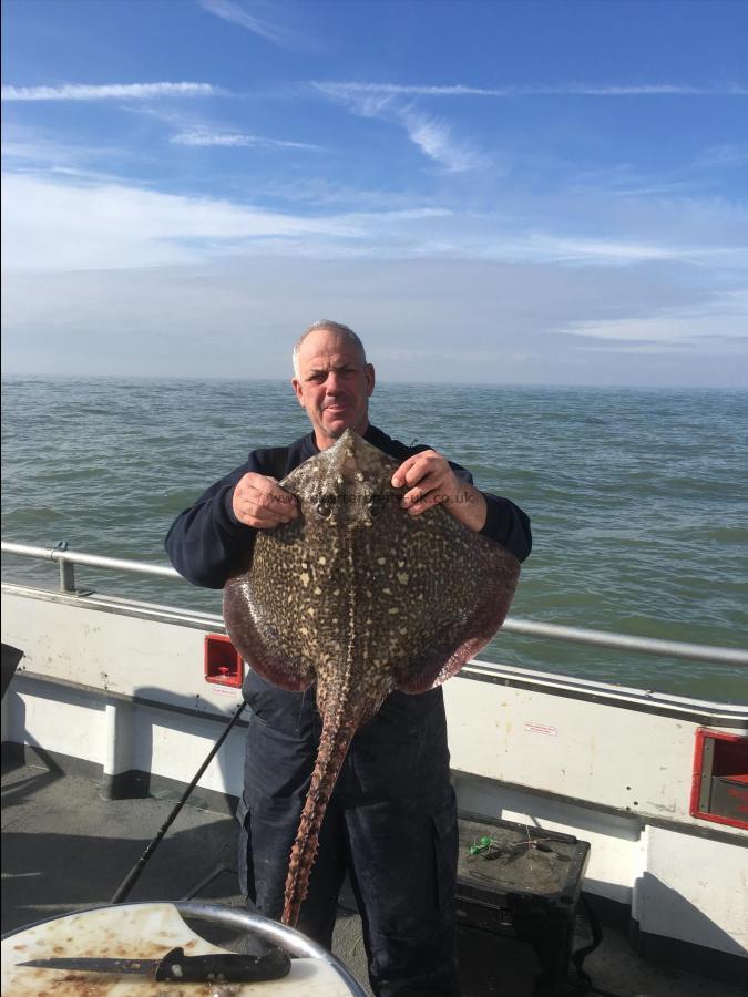 15 lb Thornback Ray by Unknown