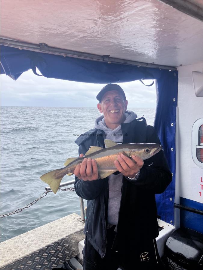 3 lb Pollock by Unknown