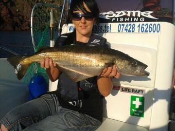 6 lb 4 oz Pollock by Jimmy Lemon