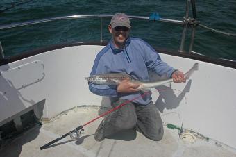 10 lb Starry Smooth-hound by Davy