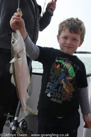 1 lb 8 oz Pollock by Tristan