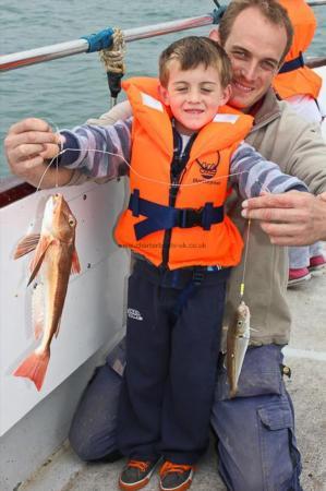 1 lb 8 oz Tub Gurnard by Lee Cain