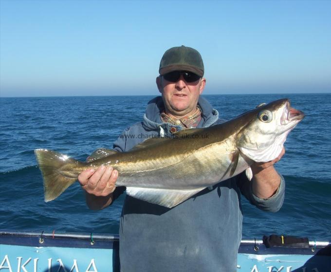 12 lb Pollock by Mark Cook