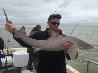 15 lb 8 oz Starry Smooth-hound by well done angry